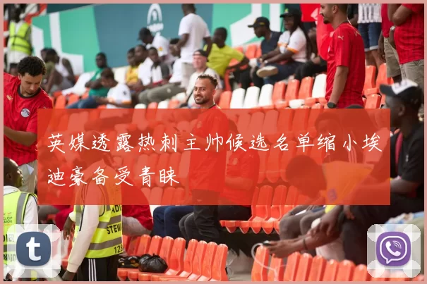 英媒透露热刺主帅候选名单缩小埃迪豪备受青睐