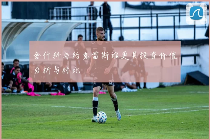 舍什科与约克雷斯谁更具投资价值分析与对比
