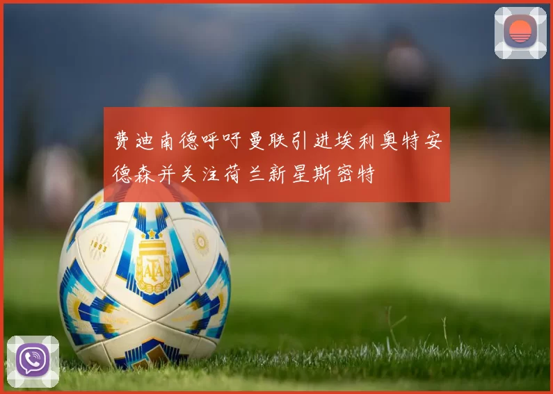 费迪南德呼吁曼联引进埃利奥特安德森并关注荷兰新星斯密特