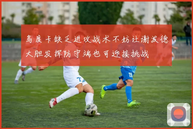 乌度卡缺乏进攻战术不妨让谢泼德大胆发挥防守端也可迎接挑战